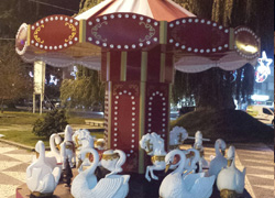 cisnes